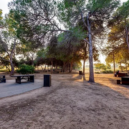 Cerca De La Playa La Mata טורבייחה